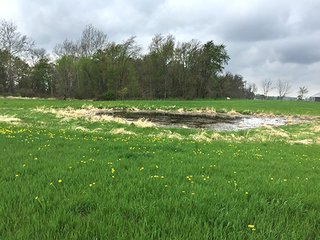 Mixture of tillable & wooded land including hog facility. - Hog Facility and Mixture of Tillable and Wooded Land