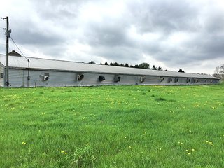 Mixture of tillable & wooded land including hog facility. - Hog Facility and Mixture of Tillable and Wooded Land