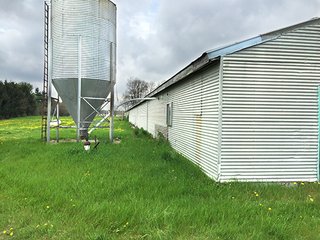 Mixture of tillable & wooded land including hog facility. - Hog Facility and Mixture of Tillable and Wooded Land