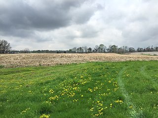Mixture of tillable & wooded land including hog facility. - Hog Facility and Mixture of Tillable and Wooded Land