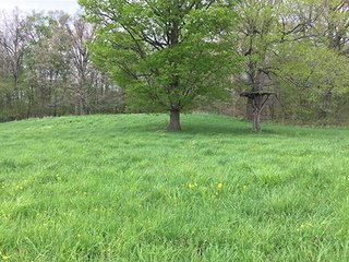 Mixture of tillable & wooded land including hog facility. - Hog Facility and Mixture of Tillable and Wooded Land