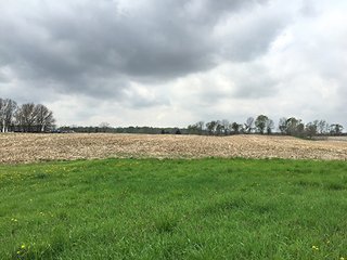 Mixture of tillable & wooded land including hog facility. - Hog Facility and Mixture of Tillable and Wooded Land