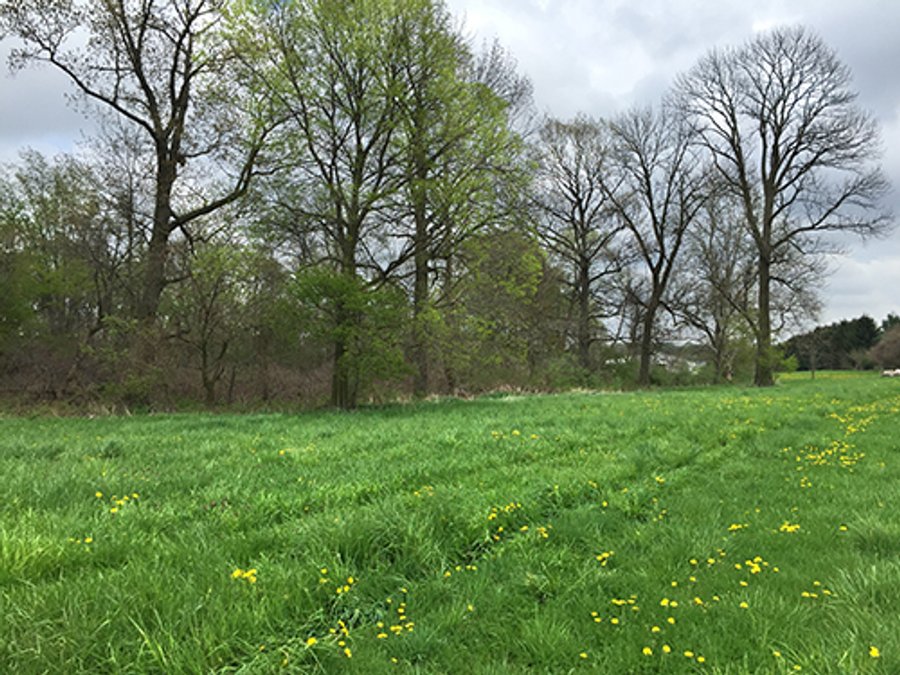 For sale: Hog Facility and Mixture of Tillable and Wooded Land - Warsaw, IN