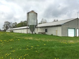 Mixture of tillable & wooded land including hog facility. - Hog Facility and Mixture of Tillable and Wooded Land