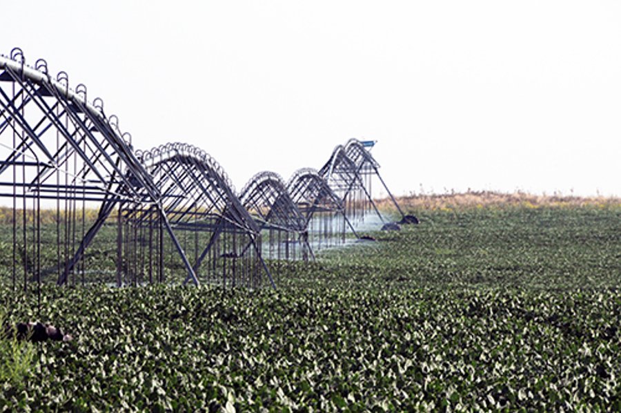 For sale: 2752 Acres - Moscow, Kansas
