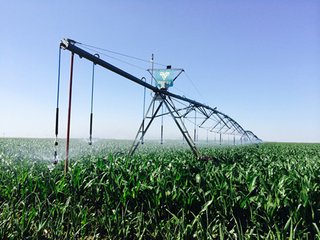 An excellent farm with VERY GOOD water per documented flow testing.  Many capital improvements have been recently completed.

Seller retaining 2015 crop rights.

- 2616+/- Cropland Acres
- 2094+/- Irrigated Acres
- Beautiful Home & Farm Headquarters
- New Lodge

An excellent farm with VERY GOOD water per documented flow testing.  Many capital improvements have been recently completed.

A MUST LOOK OPPORTUNITY. 

Call for detailed information book. - 2752 Acres