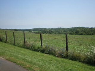 Excellent horse/cattle farm. 3/4 of the farm has new horse fence. 47 acres of pasture/hay ground, 63 acres of cropland, and 10.5 acres of walnut plantation. Water to pastures.  Great location.  36' x 100' pole barn. - PRICE REDUCED......Beautiful Southeast Indiana Livestock Type Farm