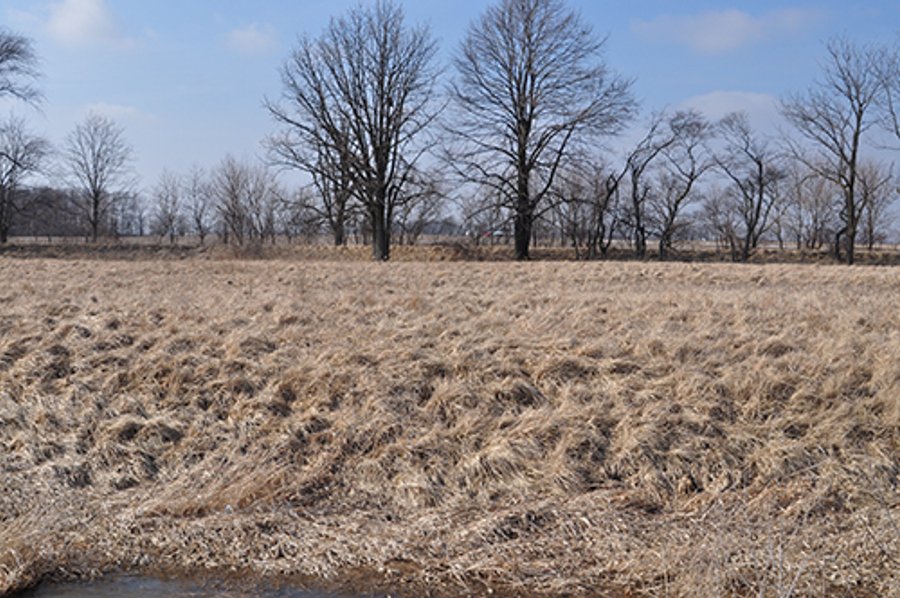 For sale: Potential Building Site - Clinton County, Colfax - Near Colfax