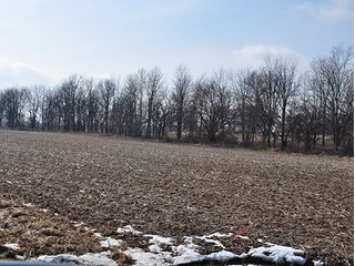 This acreage is split off parent tract, could be developed with Clinton County Zoning approval to potential building site.  The property features 3.5+/- acres of high quality tillable acres and the balance is grassy pasture, some light woods and open ditch to the east. - Potential Building Site - Clinton County, Colfax