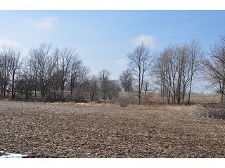 This acreage is split off parent tract, could be developed with Clinton County Zoning approval to potential building site.  The property features 3.5+/- acres of high quality tillable acres and the balance is grassy pasture, some light woods and open ditch to the east. - Potential Building Site - Clinton County, Colfax