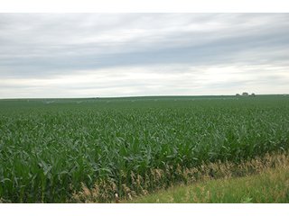 Property photo 13 - PRIME FARMLAND & PASTURE AUCTION - 5,105+/- ACRES OFFERED IN 23 TRACTS IN WEBSTER & FRANKLIN COUNTIES IN NEBRASKA AND JEWELL COUNTY IN KANSAS