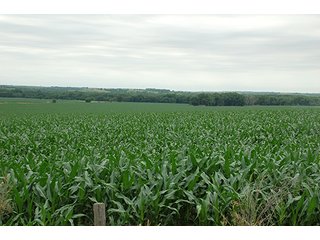 Property photo 14 - PRIME FARMLAND & PASTURE AUCTION - 5,105+/- ACRES OFFERED IN 23 TRACTS IN WEBSTER & FRANKLIN COUNTIES IN NEBRASKA AND JEWELL COUNTY IN KANSAS