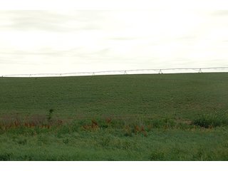 Property photo 15 - PRIME FARMLAND & PASTURE AUCTION - 5,105+/- ACRES OFFERED IN 23 TRACTS IN WEBSTER & FRANKLIN COUNTIES IN NEBRASKA AND JEWELL COUNTY IN KANSAS