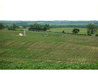 Property photo 16 - PRIME FARMLAND & PASTURE AUCTION - 5,105+/- ACRES OFFERED IN 23 TRACTS IN WEBSTER & FRANKLIN COUNTIES IN NEBRASKA AND JEWELL COUNTY IN KANSAS