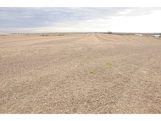 Property photo 18 - PRIME FARMLAND & PASTURE AUCTION - 5,105+/- ACRES OFFERED IN 23 TRACTS IN WEBSTER & FRANKLIN COUNTIES IN NEBRASKA AND JEWELL COUNTY IN KANSAS