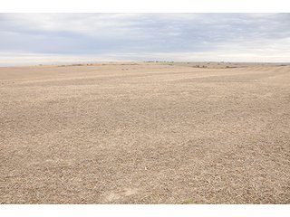 Property photo 19 - PRIME FARMLAND & PASTURE AUCTION - 5,105+/- ACRES OFFERED IN 23 TRACTS IN WEBSTER & FRANKLIN COUNTIES IN NEBRASKA AND JEWELL COUNTY IN KANSAS