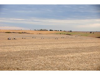 Property photo 21 - PRIME FARMLAND & PASTURE AUCTION - 5,105+/- ACRES OFFERED IN 23 TRACTS IN WEBSTER & FRANKLIN COUNTIES IN NEBRASKA AND JEWELL COUNTY IN KANSAS