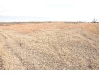 Property photo 22 - PRIME FARMLAND & PASTURE AUCTION - 5,105+/- ACRES OFFERED IN 23 TRACTS IN WEBSTER & FRANKLIN COUNTIES IN NEBRASKA AND JEWELL COUNTY IN KANSAS