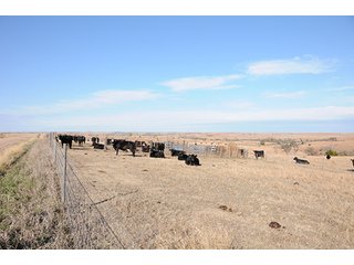 Property photo 47 - PRIME FARMLAND & PASTURE AUCTION - 5,105+/- ACRES OFFERED IN 23 TRACTS IN WEBSTER & FRANKLIN COUNTIES IN NEBRASKA AND JEWELL COUNTY IN KANSAS