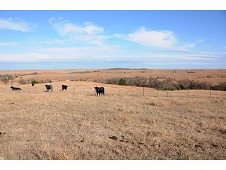 Property photo 48 - PRIME FARMLAND & PASTURE AUCTION - 5,105+/- ACRES OFFERED IN 23 TRACTS IN WEBSTER & FRANKLIN COUNTIES IN NEBRASKA AND JEWELL COUNTY IN KANSAS