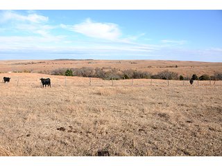 Property photo 50 - PRIME FARMLAND & PASTURE AUCTION - 5,105+/- ACRES OFFERED IN 23 TRACTS IN WEBSTER & FRANKLIN COUNTIES IN NEBRASKA AND JEWELL COUNTY IN KANSAS