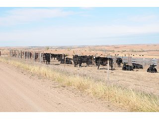 Property photo 51 - PRIME FARMLAND & PASTURE AUCTION - 5,105+/- ACRES OFFERED IN 23 TRACTS IN WEBSTER & FRANKLIN COUNTIES IN NEBRASKA AND JEWELL COUNTY IN KANSAS