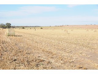 Property photo 55 - PRIME FARMLAND & PASTURE AUCTION - 5,105+/- ACRES OFFERED IN 23 TRACTS IN WEBSTER & FRANKLIN COUNTIES IN NEBRASKA AND JEWELL COUNTY IN KANSAS