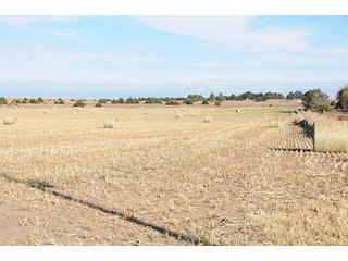 Property photo 56 - PRIME FARMLAND & PASTURE AUCTION - 5,105+/- ACRES OFFERED IN 23 TRACTS IN WEBSTER & FRANKLIN COUNTIES IN NEBRASKA AND JEWELL COUNTY IN KANSAS