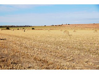 Property photo 57 - PRIME FARMLAND & PASTURE AUCTION - 5,105+/- ACRES OFFERED IN 23 TRACTS IN WEBSTER & FRANKLIN COUNTIES IN NEBRASKA AND JEWELL COUNTY IN KANSAS
