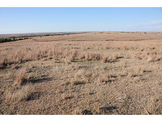 Property photo 60 - PRIME FARMLAND & PASTURE AUCTION - 5,105+/- ACRES OFFERED IN 23 TRACTS IN WEBSTER & FRANKLIN COUNTIES IN NEBRASKA AND JEWELL COUNTY IN KANSAS