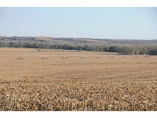 Property photo 68 - PRIME FARMLAND & PASTURE AUCTION - 5,105+/- ACRES OFFERED IN 23 TRACTS IN WEBSTER & FRANKLIN COUNTIES IN NEBRASKA AND JEWELL COUNTY IN KANSAS