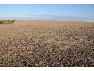 Property photo 70 - PRIME FARMLAND & PASTURE AUCTION - 5,105+/- ACRES OFFERED IN 23 TRACTS IN WEBSTER & FRANKLIN COUNTIES IN NEBRASKA AND JEWELL COUNTY IN KANSAS