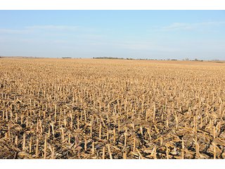 Property photo 73 - PRIME FARMLAND & PASTURE AUCTION - 5,105+/- ACRES OFFERED IN 23 TRACTS IN WEBSTER & FRANKLIN COUNTIES IN NEBRASKA AND JEWELL COUNTY IN KANSAS
