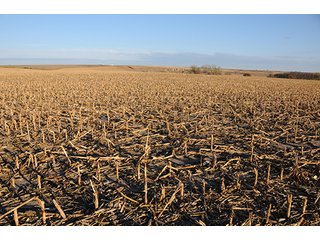 Property photo 74 - PRIME FARMLAND & PASTURE AUCTION - 5,105+/- ACRES OFFERED IN 23 TRACTS IN WEBSTER & FRANKLIN COUNTIES IN NEBRASKA AND JEWELL COUNTY IN KANSAS