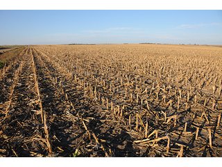 Property photo 75 - PRIME FARMLAND & PASTURE AUCTION - 5,105+/- ACRES OFFERED IN 23 TRACTS IN WEBSTER & FRANKLIN COUNTIES IN NEBRASKA AND JEWELL COUNTY IN KANSAS