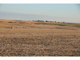 Property photo 81 - PRIME FARMLAND & PASTURE AUCTION - 5,105+/- ACRES OFFERED IN 23 TRACTS IN WEBSTER & FRANKLIN COUNTIES IN NEBRASKA AND JEWELL COUNTY IN KANSAS