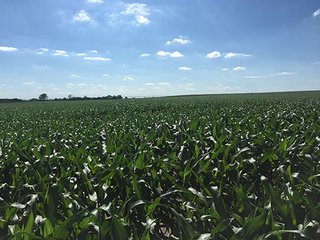 Property photo 101 - PRIME FARMLAND & PASTURE AUCTION - 5,105+/- ACRES OFFERED IN 23 TRACTS IN WEBSTER & FRANKLIN COUNTIES IN NEBRASKA AND JEWELL COUNTY IN KANSAS