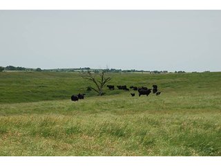 Property photo 92 - PRIME FARMLAND & PASTURE AUCTION - 5,105+/- ACRES OFFERED IN 23 TRACTS IN WEBSTER & FRANKLIN COUNTIES IN NEBRASKA AND JEWELL COUNTY IN KANSAS