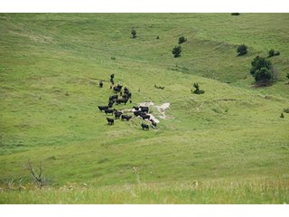 Property photo 93 - PRIME FARMLAND & PASTURE AUCTION - 5,105+/- ACRES OFFERED IN 23 TRACTS IN WEBSTER & FRANKLIN COUNTIES IN NEBRASKA AND JEWELL COUNTY IN KANSAS