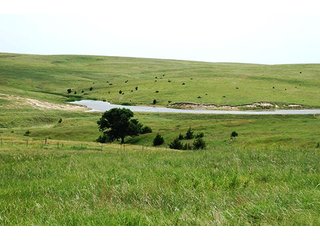 Property photo 94 - PRIME FARMLAND & PASTURE AUCTION - 5,105+/- ACRES OFFERED IN 23 TRACTS IN WEBSTER & FRANKLIN COUNTIES IN NEBRASKA AND JEWELL COUNTY IN KANSAS