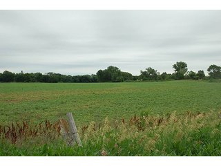 Property photo 95 - PRIME FARMLAND & PASTURE AUCTION - 5,105+/- ACRES OFFERED IN 23 TRACTS IN WEBSTER & FRANKLIN COUNTIES IN NEBRASKA AND JEWELL COUNTY IN KANSAS