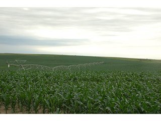 Property photo 97 - PRIME FARMLAND & PASTURE AUCTION - 5,105+/- ACRES OFFERED IN 23 TRACTS IN WEBSTER & FRANKLIN COUNTIES IN NEBRASKA AND JEWELL COUNTY IN KANSAS
