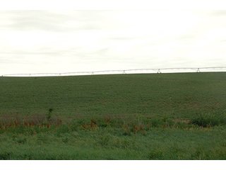 Property photo 98 - PRIME FARMLAND & PASTURE AUCTION - 5,105+/- ACRES OFFERED IN 23 TRACTS IN WEBSTER & FRANKLIN COUNTIES IN NEBRASKA AND JEWELL COUNTY IN KANSAS