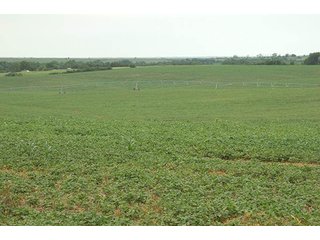 Property photo 100 - PRIME FARMLAND & PASTURE AUCTION - 5,105+/- ACRES OFFERED IN 23 TRACTS IN WEBSTER & FRANKLIN COUNTIES IN NEBRASKA AND JEWELL COUNTY IN KANSAS
