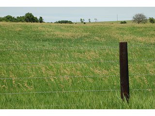 Property photo 87 - PRIME FARMLAND & PASTURE AUCTION - 5,105+/- ACRES OFFERED IN 23 TRACTS IN WEBSTER & FRANKLIN COUNTIES IN NEBRASKA AND JEWELL COUNTY IN KANSAS