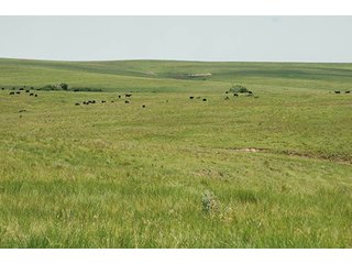 Property photo 90 - PRIME FARMLAND & PASTURE AUCTION - 5,105+/- ACRES OFFERED IN 23 TRACTS IN WEBSTER & FRANKLIN COUNTIES IN NEBRASKA AND JEWELL COUNTY IN KANSAS