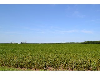 Property photo 10 - LAND AUCTION - 340+/- ACRES OFFERED IN 5 TRACTS IN FOUNTAIN COUNTY