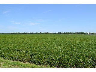 Property photo 8 - LAND AUCTION - 340+/- ACRES OFFERED IN 5 TRACTS IN FOUNTAIN COUNTY
