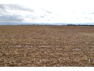 Property photo 7 - LAND AUCTION - 340+/- ACRES OFFERED IN 5 TRACTS IN FOUNTAIN COUNTY