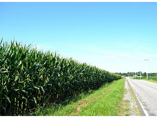 Property photo 5 - LAND AUCTION - 340+/- ACRES OFFERED IN 5 TRACTS IN FOUNTAIN COUNTY